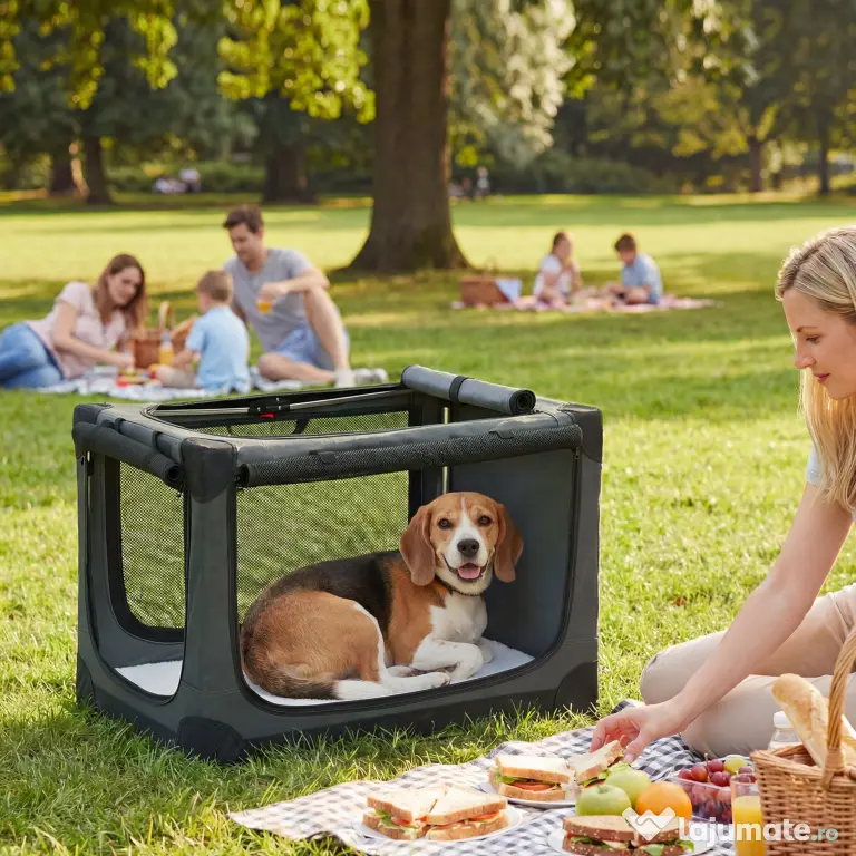PawHut Cușcă de Transport Pliabilă pentru Câini și Pisici cu Pernă, Husă Lavabilă, Uși, din Oxford Respirabil 600D, 76x54x54 cm, Verde | Aosom Romania