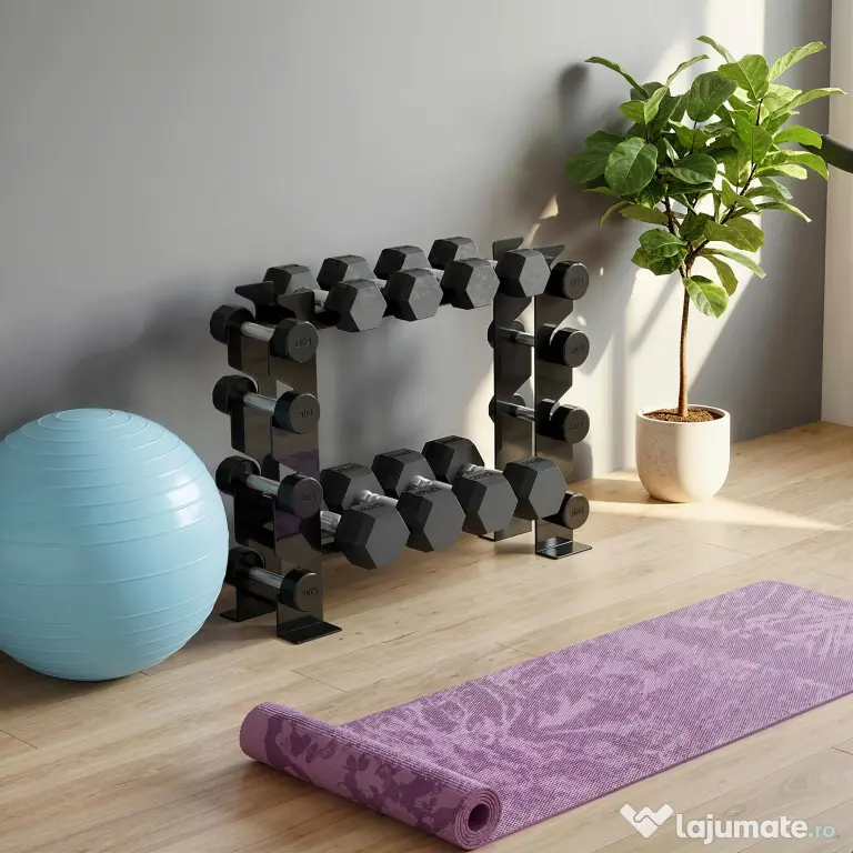 SPORTNOW suport pentru gantere, rastel pentru greutăți, organizator pentru greutăți, suport fitness, organizator pentru sala de sport | Aosom Romania