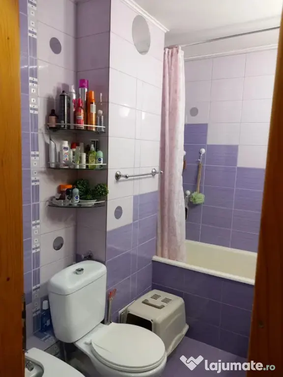 Apartament Cu 3 Camere Decomandate Etaj 1 Zona Burdujeni