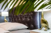 4 Camere + Loc de Parcare | Cartierul Francez | Herăstrău