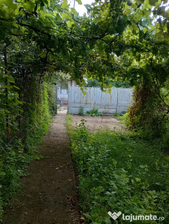 Vând casă la curte // Suprafață totală de 950 mp