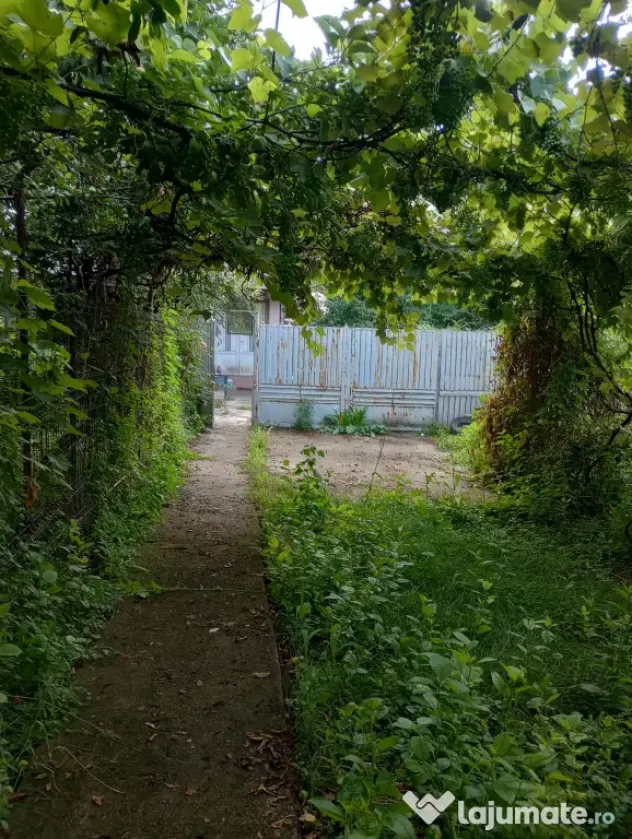 Vând casă la curte // Suprafață totală de 950 mp