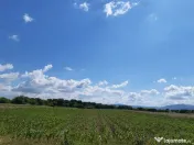 Teren agricol Podu Oltului la limita UAT Harman si UAT Prejmer 1,5 euro mp