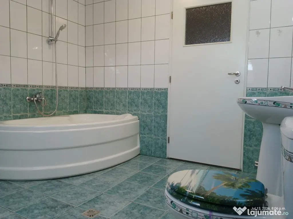 Vanzare Mansarda Valea Aurie