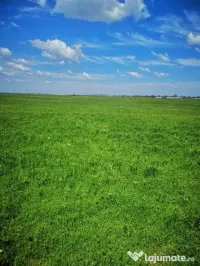Vând terenuri în Bacău și împrejurimi.