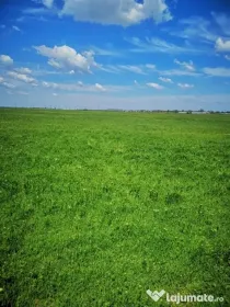 Vând terenuri în Bacău și împrejurimi. 6200mp