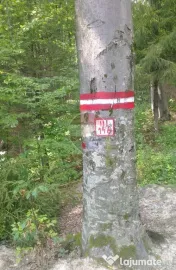 DE VÂNZARE – FOND FORESTIER PRIVAT | 100,9 ha | Județ... 