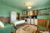 FILM! Casa cu sura, pivnita, balta cu pesti, 2.280 mp teren 