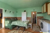 FILM! Casa cu sura, pivnita, balta cu pesti, 2.280 mp teren 