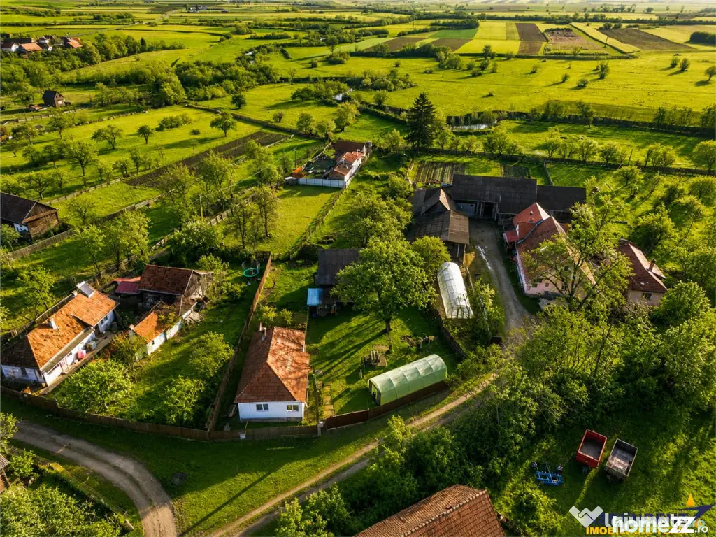 FILM! Casa cu sura, pivnita, balta cu pesti, 2.280 mp teren