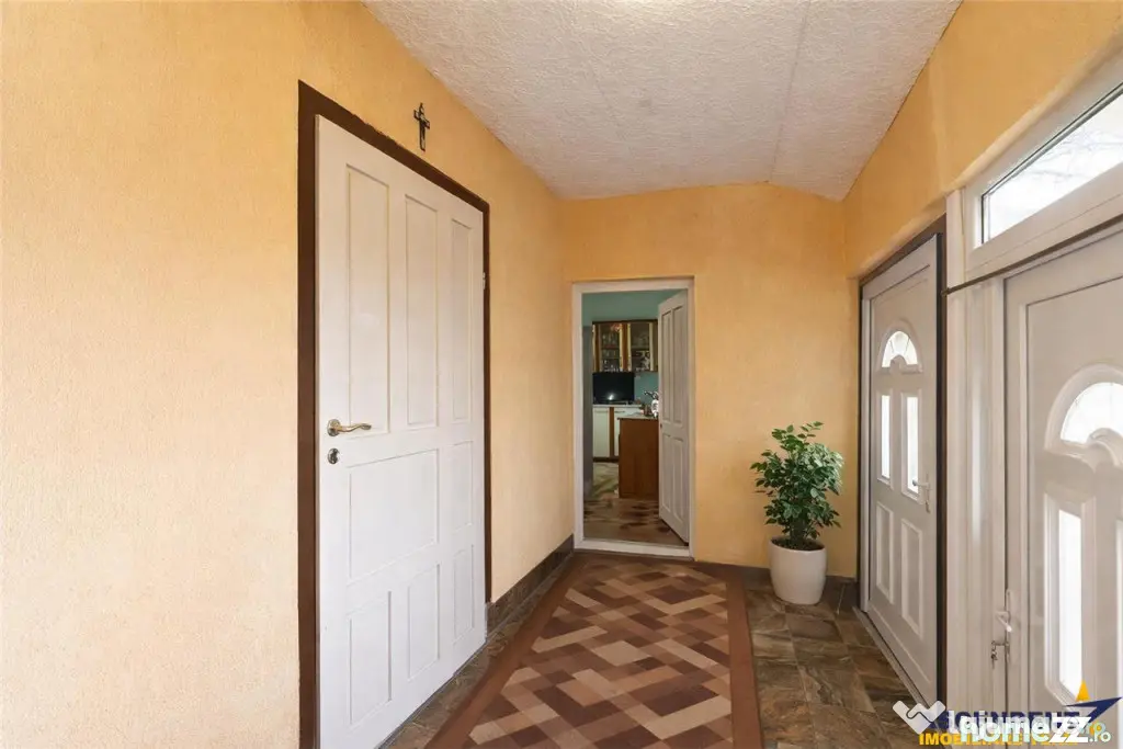 FILM! Casa cu sura, pivnita, balta cu pesti, 2.280 mp teren