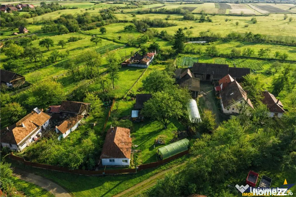 FILM! Casa cu sura, pivnita, balta cu pesti, 2.280 mp teren