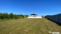 Teren intravilan 530 Mp | Albota