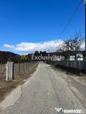 Teren Cicanesti Arges, la 10 KM de Transfagarasan - Comis...