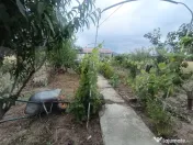 Casa cu 450 mp teren, de weekend sau rezidential - Dobolii D 