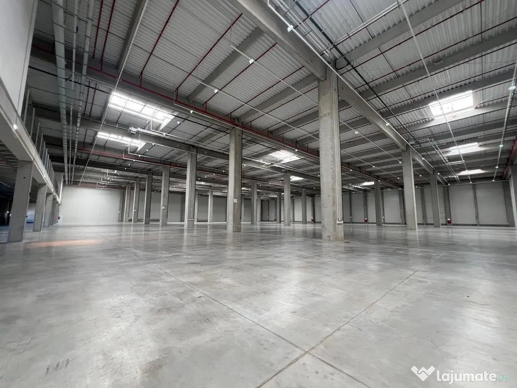 Spatii depozitare 3500 - 35.000 mp - Stefanestii de Jos ,...