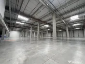 Spatii depozitare 3500 - 35.000 mp - Stefanestii de Jos ,... 
