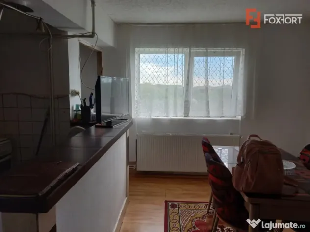 Apartament cu 2 camere de vanzare in Remetea Mare