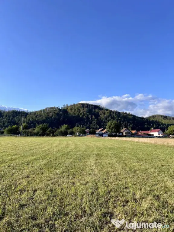 Teren 650 mp Zarnesti