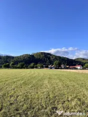 Teren 650 mp Zarnesti