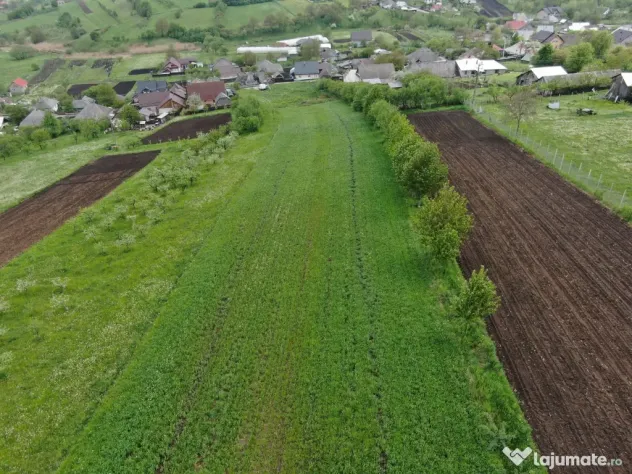 Teren intravilan 5.000 mp | Gaz + curent trifazic | Valea Arini – Bălțătești