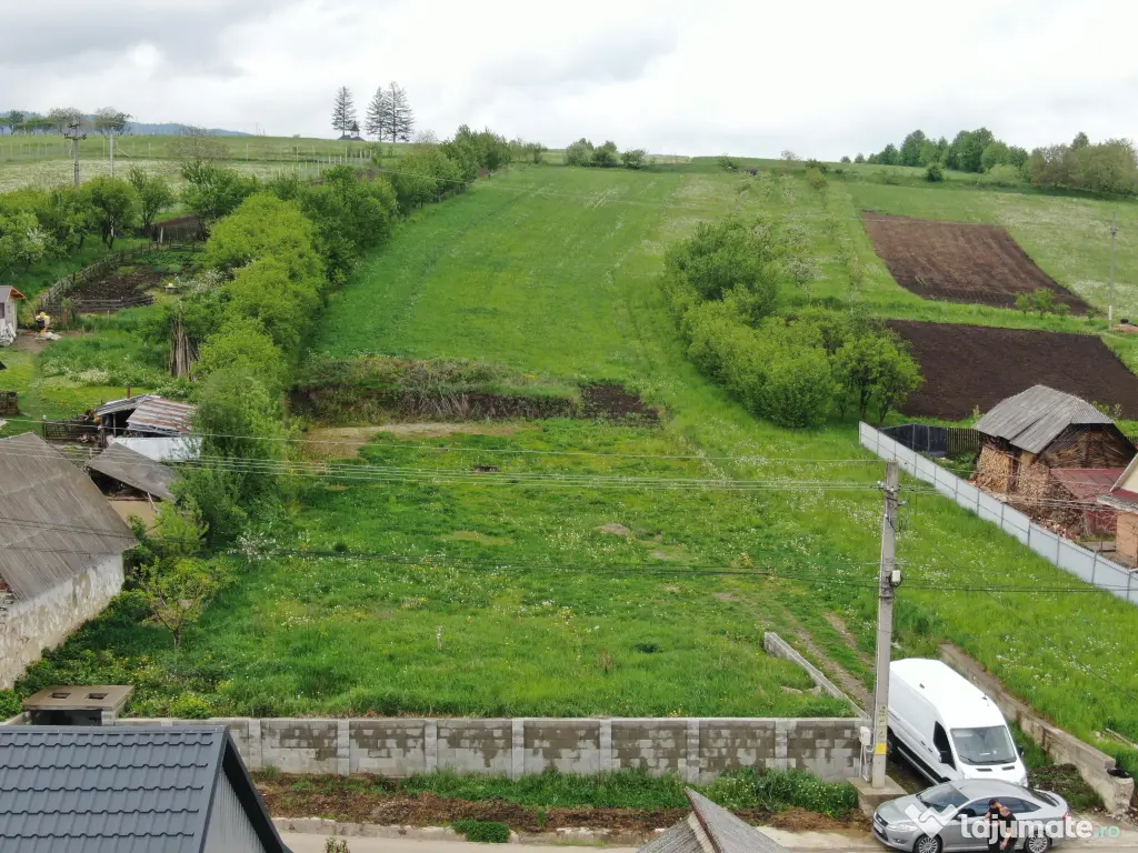 Teren intravilan 5.000 mp | Gaz + curent trifazic | Valea Arini – Bălțătești