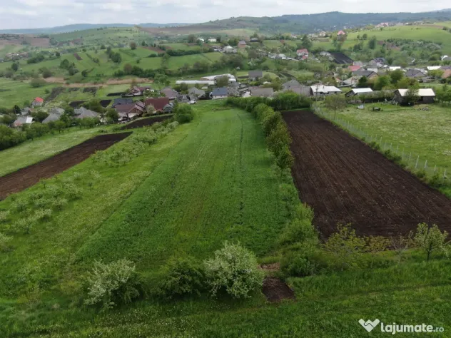 Teren intravilan 5.000 mp | Gaz + curent trifazic | Valea Arini – Bălțătești