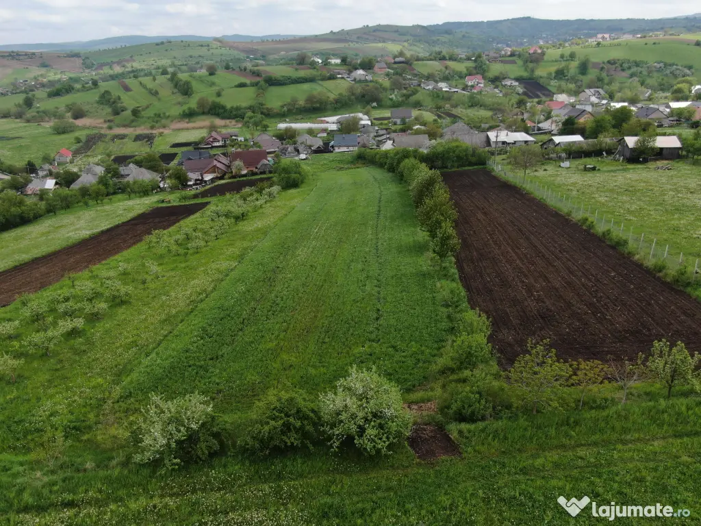 Teren intravilan 5.000 mp | Gaz + curent trifazic | Valea Arini – Bălțătești