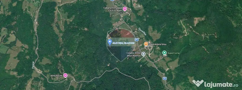 Comision 0% | Teren 10.000 mp în Glăjerie, Râșnov