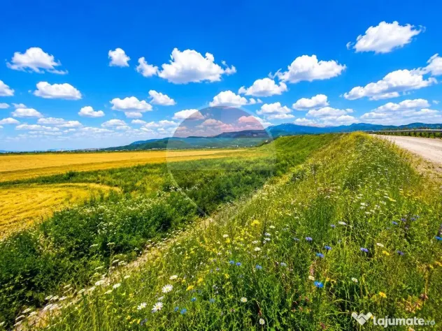 Teren extravilan 17,000mp Rasnov langa Autostrada A3, zon...