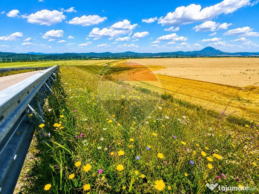 Teren extravilan 17,000mp Rasnov langa Autostrada A3, zon...