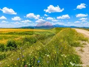 Teren extravilan 17,000mp Rasnov langa Autostrada A3, zon...