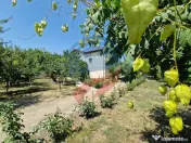 CASA P +E 5 camere -Cosoveni 