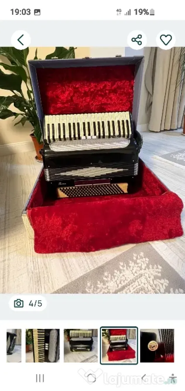 acordeon italian Petosa Biella.