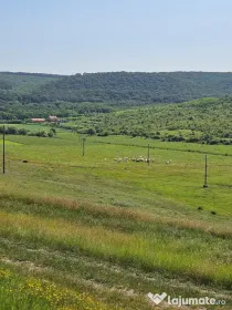 Vand Teren 7200mp si Teren 2000mp,Cretestii de sus, Husi, jud Vaslui