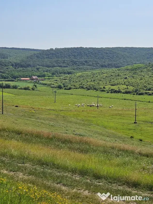 Vand Teren 7200mp si Teren 2000mp,Cretestii de sus, Husi, jud Vaslui