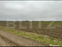 Teren extravilan, 15.500 mp, zona Tărtășești