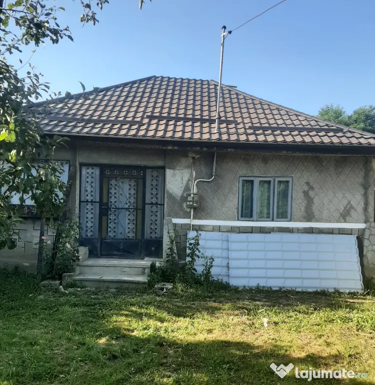 2 Case cu Teren mare langa Primarie