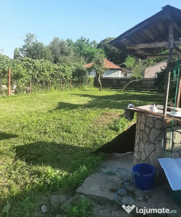 2 Case cu Teren mare langa Primarie