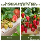 Outsunny Folie pentru Protectia Solului Drenanta si Respirabila 
