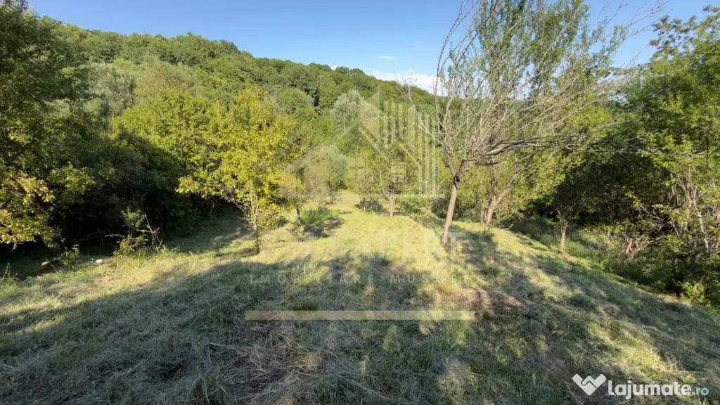 TEREN 3200 MP GODENI ARGEȘ
