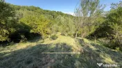 TEREN 3200 MP GODENI ARGEȘ 