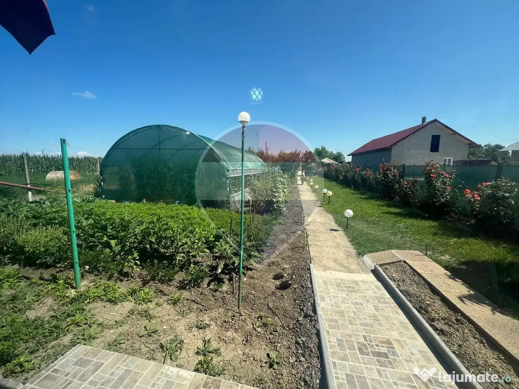 Casă 2 camere teren 6943mp Gologanu
