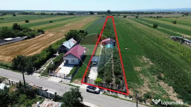 Casă 2 camere teren 6943mp Gologanu