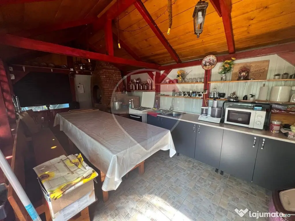 Casă 2 camere teren 6943mp Gologanu