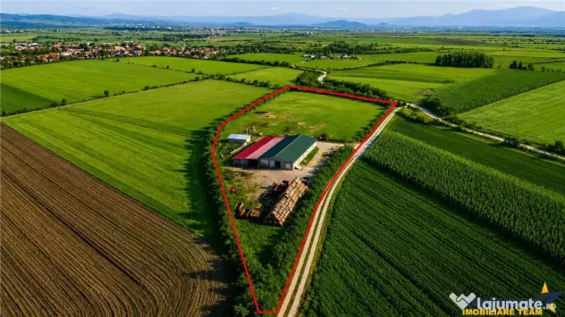 FILM! 18.000 mp, extravilan, agricol constructii:ferma,inve