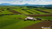FILM! 18.000 mp, extravilan, agricol constructii:ferma,inve 
