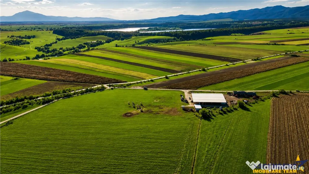 FILM! 18.000 mp, extravilan, agricol constructii:ferma,inve