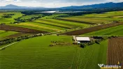 FILM! 18.000 mp, extravilan, agricol constructii:ferma,inve 