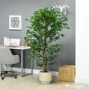 HOMCOM Plantă Artificială de Ficus cu 1260 Frunze, Plantă Artificială cu Ghiveci Inclus, Ø17,5x14,5 cm, Verde 